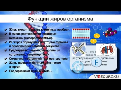 Жиры входят в состав клеточных мембран. В жирах растворяются некоторые витамины (жирорастворимые).