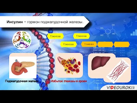 Инсулин − гормон поджелудочной железы. Поджелудочная железа Избыток глюкозы в крови Глюкоза Глюкоза Глюкоза Гликоген