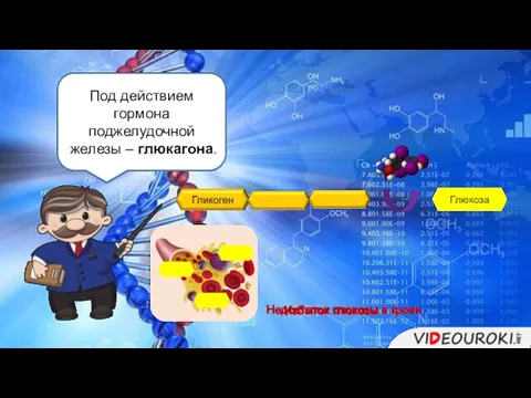 Недостаток глюкозы в крови Глюкоза При недостатке гормона инсулина возникает тяжелое заболевание