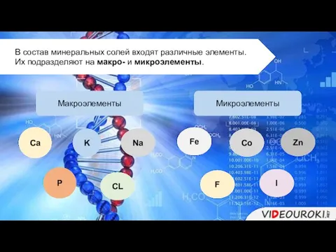 В состав минеральных солей входят различные элементы. Их подразделяют на макро- и