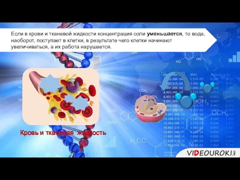 Кровь и тканевая жидкость Если в крови и тканевой жидкости концентрация соли