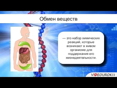 — это набор химических реакций, которые возникают в живом организме для поддержания его жизнедеятельности. Обмен веществ