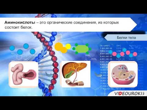 Аминокислоты – это органические соединения, из которых состоит белок. Белки тела