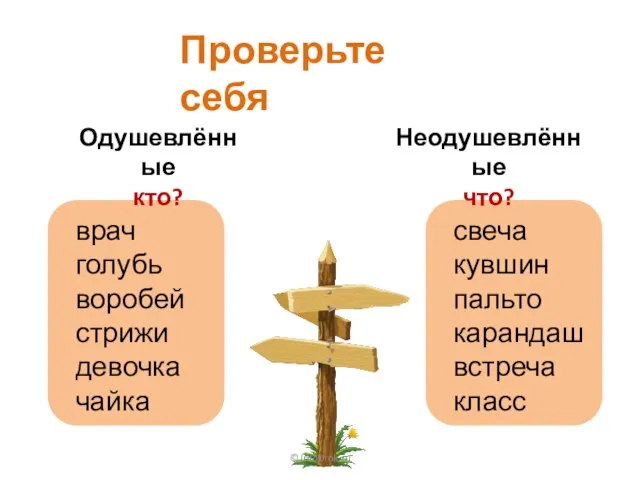 Проверьте себя © InfoUrok.ru Одушевлённые кто? Неодушевлённые что? врач голубь воробей стрижи