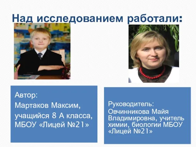 Над исследованием работали: Автор: Мартаков Максим, учащийся 8 А класса, МБОУ «Лицей