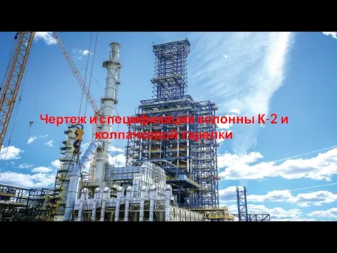 Чертеж и спецификация колонны К-2 и колпачковой тарелки