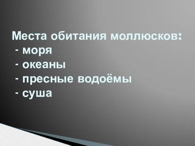 Места обитания моллюсков: - моря - океаны - пресные водоёмы - суша