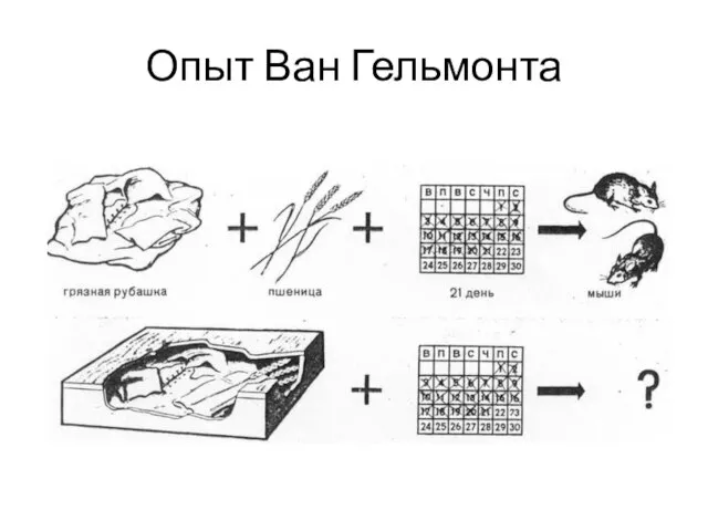 Опыт Ван Гельмонта