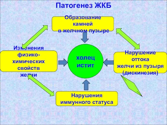 Патогенез ЖКБ Образование камней в желчном пузыре Нарушение оттока желчи из пузыря