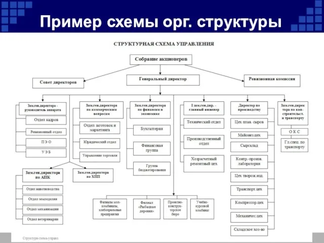 Пример схемы орг. структуры