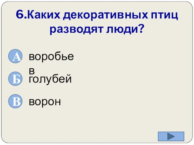 6.Каких декоративных птиц разводят люди? ворон голубей воробьев А Б В