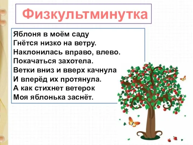 Физкультминутка Яблоня в моём саду Гнётся низко на ветру. Наклонилась вправо, влево.