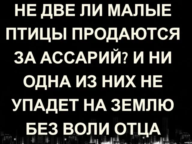 НЕ ДВЕ ЛИ МАЛЫЕ ПТИЦЫ ПРОДАЮТСЯ ЗА АССАРИЙ? И НИ ОДНА ИЗ