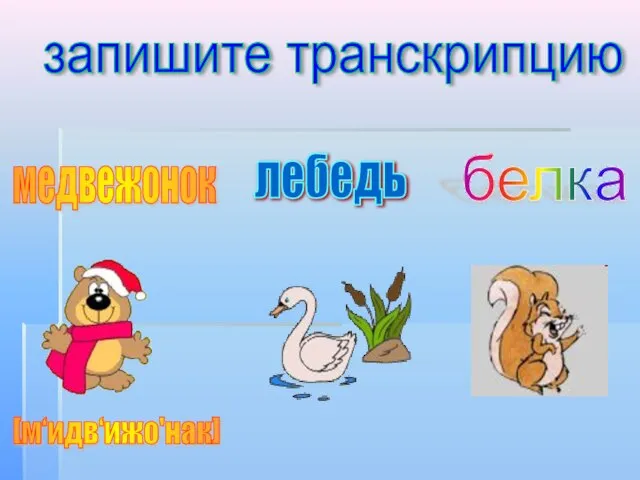 запишите транскрипцию медвежонок белка [м‘идв‘ижо'нак] лебедь [л‘э'б‘ит'] б‘э'лка]