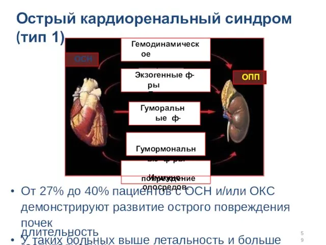 Острый кардиоренальный синдром (тип 1) От 27% до 40% пациентов с ОСН