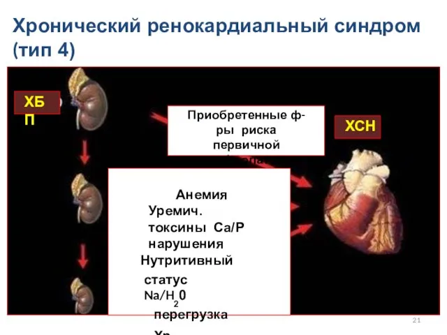 Хронический ренокардиальный синдром (тип 4) ХБП ХСН Приобретенные ф-ры риска первичной нефропатии