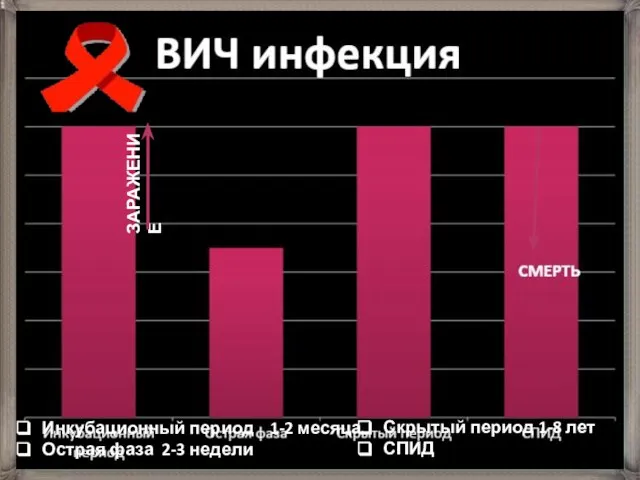 Инкубационный период 1-2 месяца Острая фаза 2-3 недели Скрытый период 1-8 лет СПИД ЗАРАЖЕНИЕ