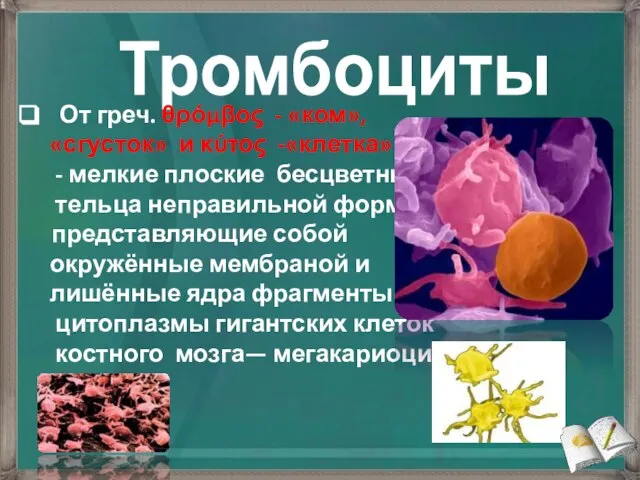 Тромбоциты От греч. θρόμβος - «ком», «сгусток» и κύτος -«клетка» - мелкие