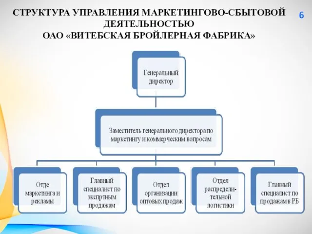 СТРУКТУРА УПРАВЛЕНИЯ МАРКЕТИНГОВО-СБЫТОВОЙ ДЕЯТЕЛЬНОСТЬЮ ОАО «ВИТЕБСКАЯ БРОЙЛЕРНАЯ ФАБРИКА» 6