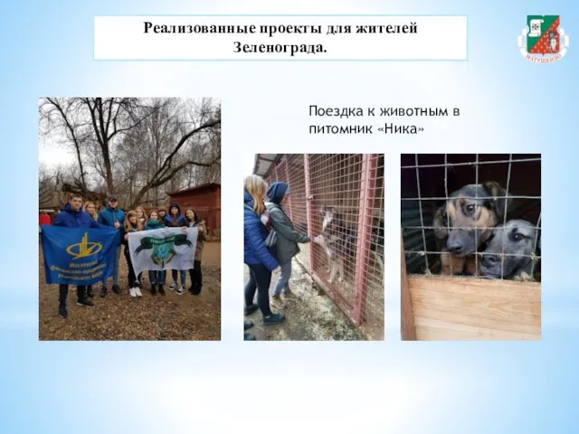 Реализованные проекты для жителей Зеленограда. Поездка к животным в питомник «Ника»