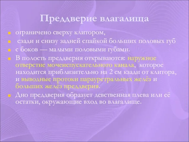 Преддверие влагалища ограничено сверху клитором, сзади и снизу задней спайкой больших половых