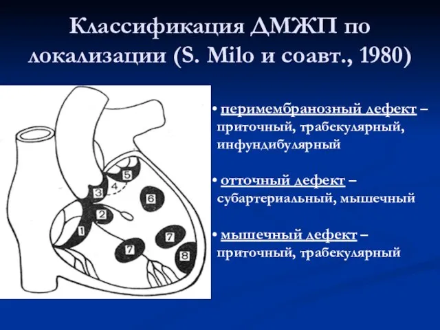 Классификация ДМЖП по локализации (S. Milo и соавт., 1980) перимембранозный дефект –