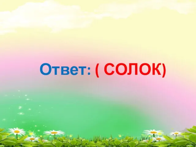 Ответ: ( СОЛОК)