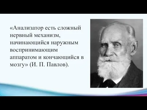 «Анализатор есть сложный нервный механизм, начинающийся наружным воспринимающим аппаратом и кончающийся в мозгу» (И. П. Павлов).