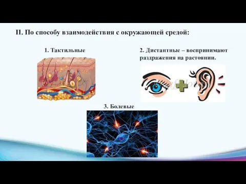 II. По способу взаимодействия с окружающей средой: 1. Тактильные 2. Дистантные –