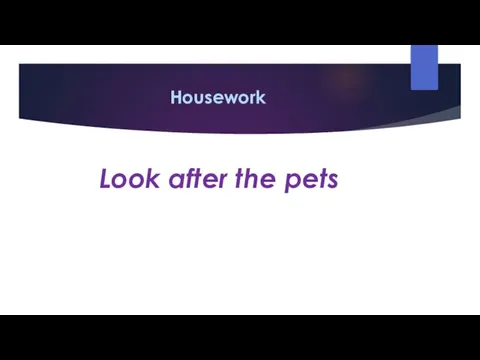 Housework Look after the pets