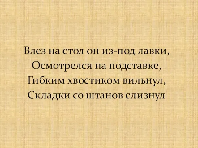 Влез на стол он из-под лавки, Осмотрелся на подставке, Гибким хвостиком вильнул, Складки со штанов слизнул