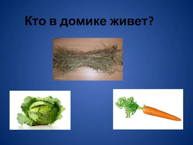 Кто в домике живет?