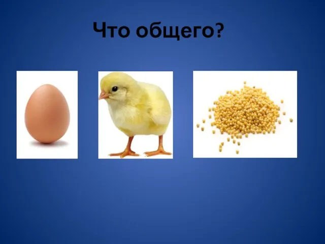 Что общего?