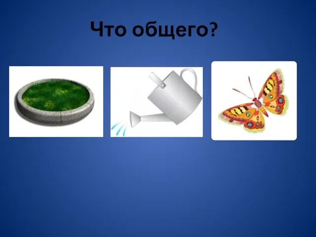 Что общего?