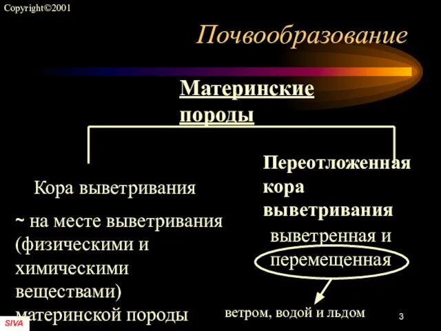 Почвообразование Кора выветривания Переотложенная кора выветривания ~ на месте выветривания (физическими и