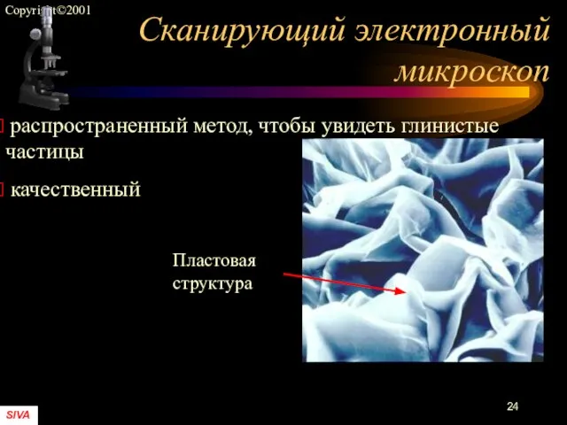 Сканирующий электронный микроскоп распространенный метод, чтобы увидеть глинистые частицы качественный