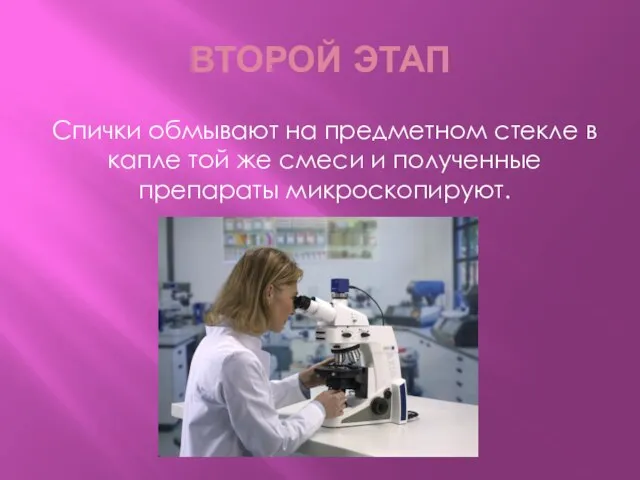 ВТОРОЙ ЭТАП Спички обмывают на предметном стекле в капле той же смеси и полученные препараты микроскопируют.