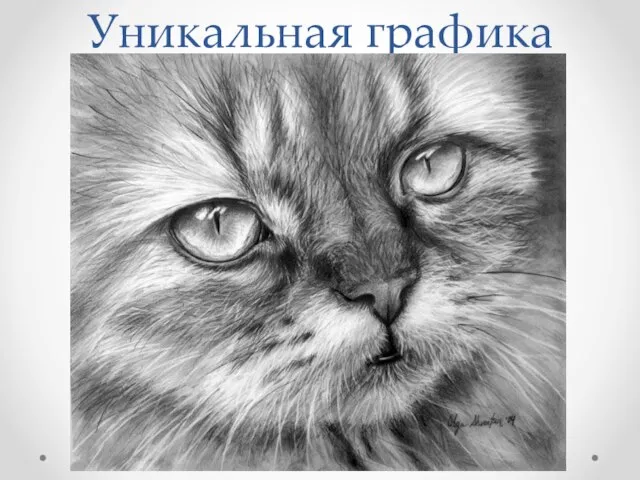 Уникальная графика