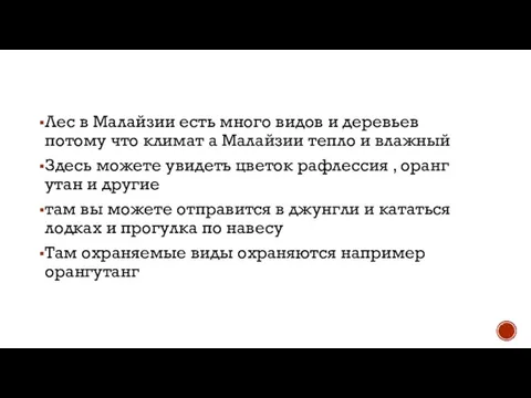 Лес в Малайзии есть много видов и деревьев потому что климат а