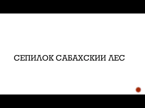 СЕПИЛОК САБАХСКИИ ЛЕС