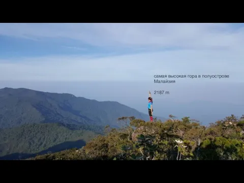 самая высокая гора в полуострове Малайзия 2187 m