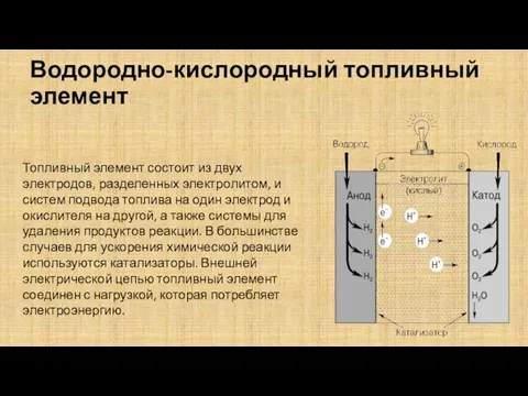 Водородно-кислородный топливный элемент Топливный элемент состоит из двух электродов, разделенных электролитом, и