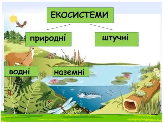 ЕКОСИСТЕМИ природні штучні водні наземні