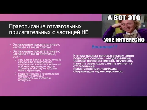 Правописание отглагольных прилагательных с частицей НЕ Отглагольные прилагательные с частицей не пиши