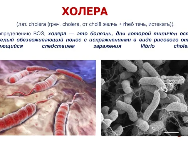ХОЛЕРА (лат. cholera (греч. cholera, от cholē желчь + rheō течь, истекать)).