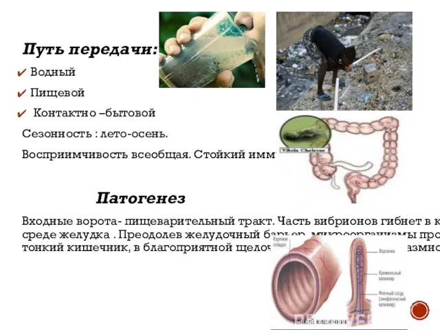 Путь передачи: Водный Пищевой Контактно –бытовой Сезонность : лето-осень. Восприимчивость всеобщая. Стойкий