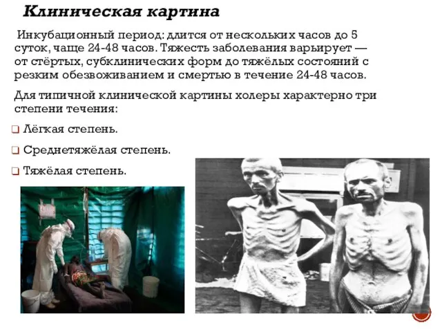 Клиническая картина Инкубационный период: длится от нескольких часов до 5 суток, чаще