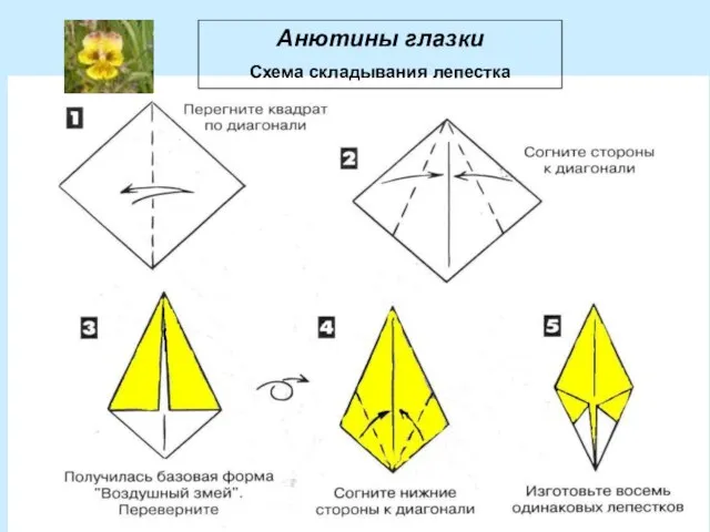 Анютины глазки Схема складывания лепестка