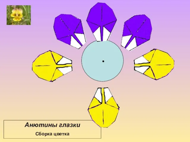 Анютины глазки Сборка цветка