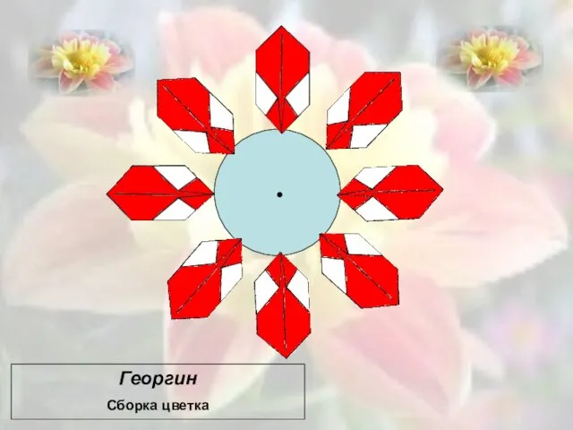 Георгин Сборка цветка